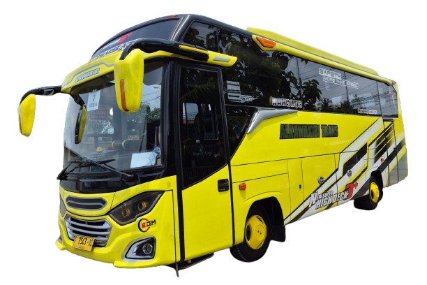 Medium Bus